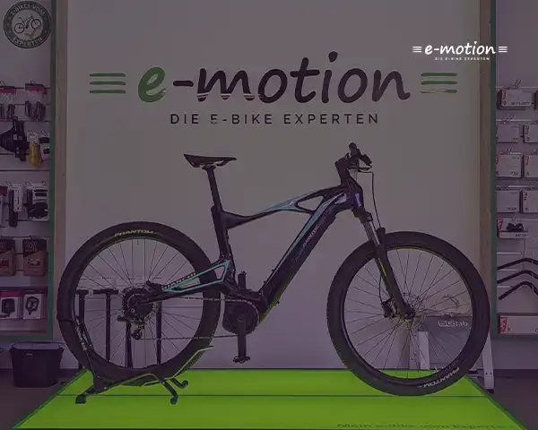 e-bike Lagerräumung